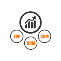 hcm implementation